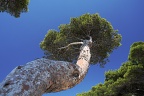 Paysages