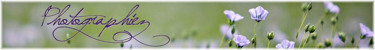 Photographiez.free.fr